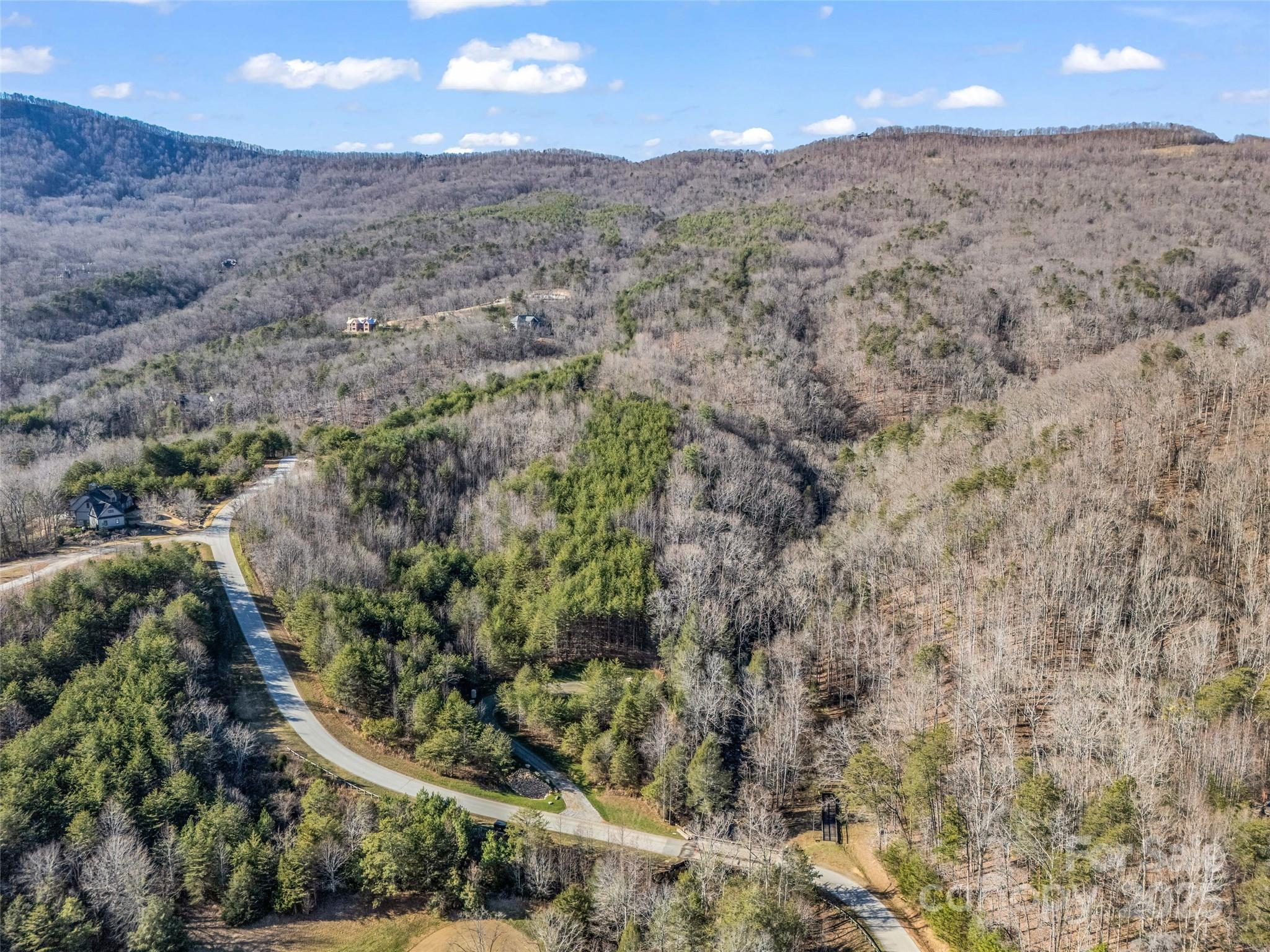 61 Deep Gap Farm Road East Mill Spring, NC 28756 - Photo 29 of 29 a view of a dry yard with mountains in the background