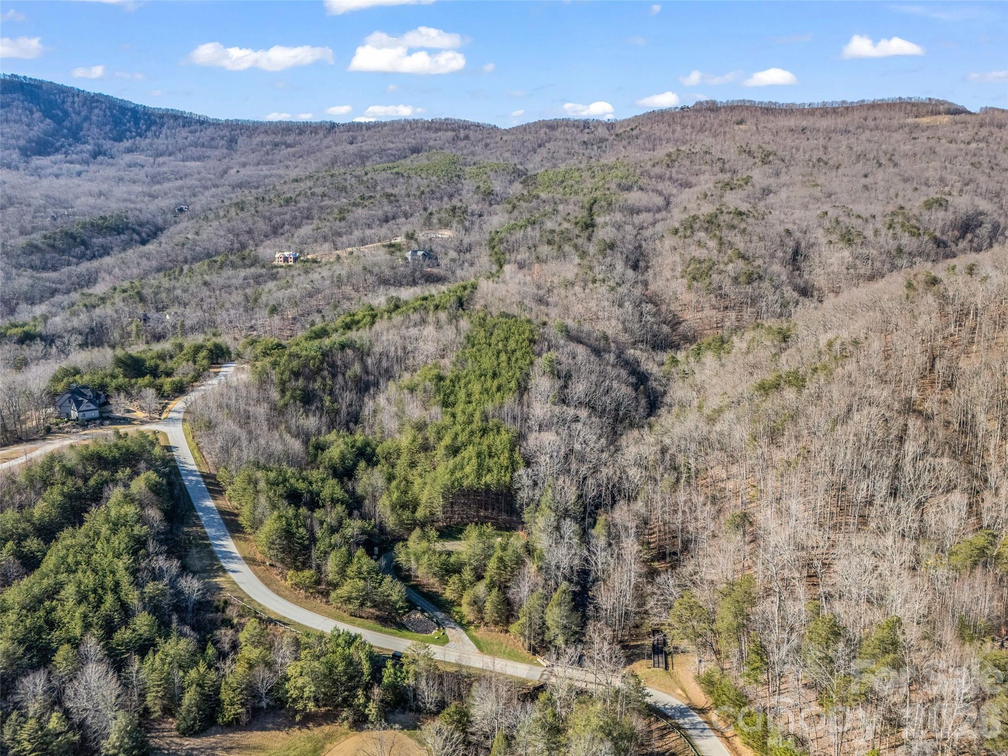 61 Deep Gap Farm Road East Mill Spring, NC 28756 - Photo 29 of 36