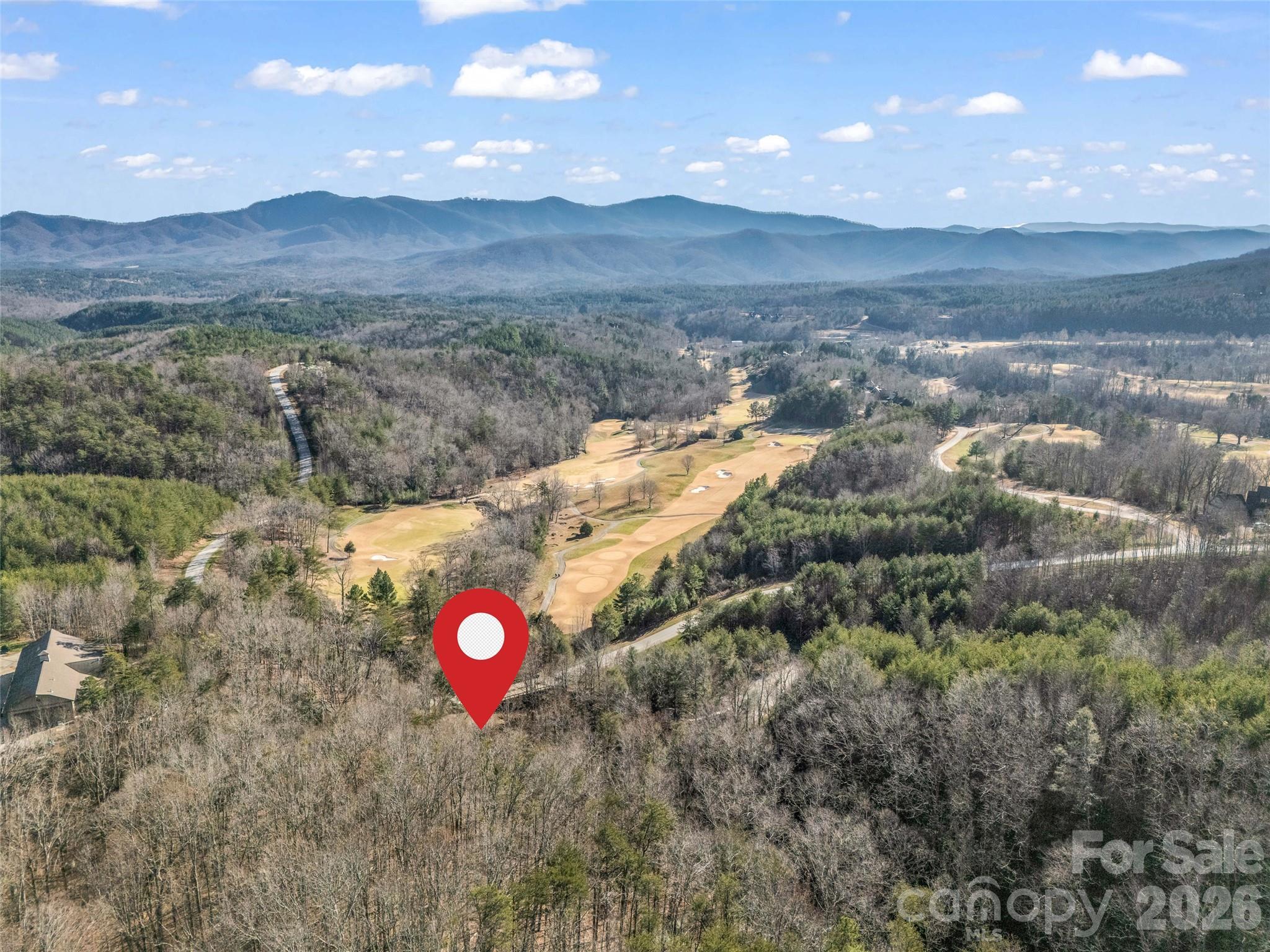 61 Deep Gap Farm Road East Mill Spring, NC 28756 - Photo 3 of 36