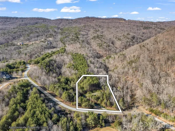 $495,000 | 61 Deep Gap Farm Road East, Mill Spring, NC 28756