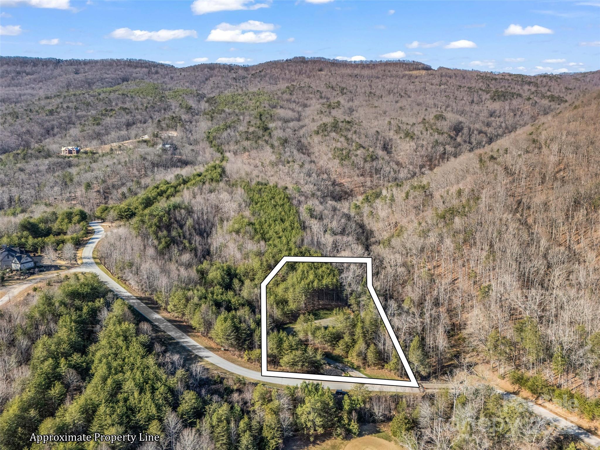 61 Deep Gap Farm Road East Mill Spring, NC 28756 - Photo 4 of 29 a view of a yard