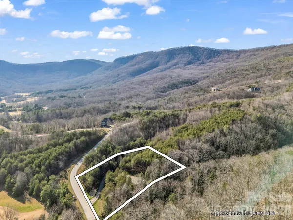 $495,000 | 61 Deep Gap Farm Road East, Mill Spring, NC 28756