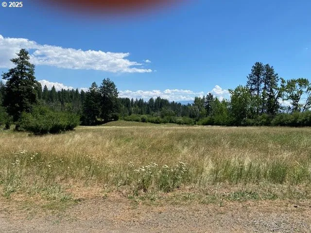 a view of a lake with houses in the background