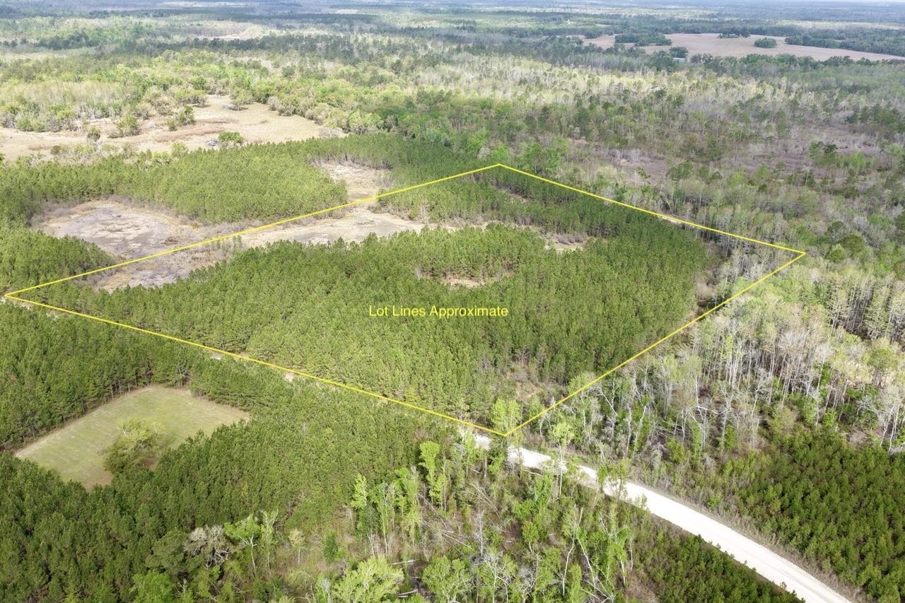 Vacant Southwest Vacant Sw Captain Brown Road Madison, FL 32340 - Photo 33 of 37