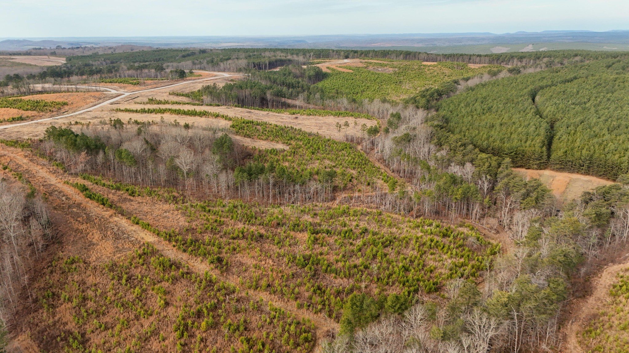 0 State Rt 399 Dunlap, TN 37327 - Photo 9 of 14 Gallery Image 9