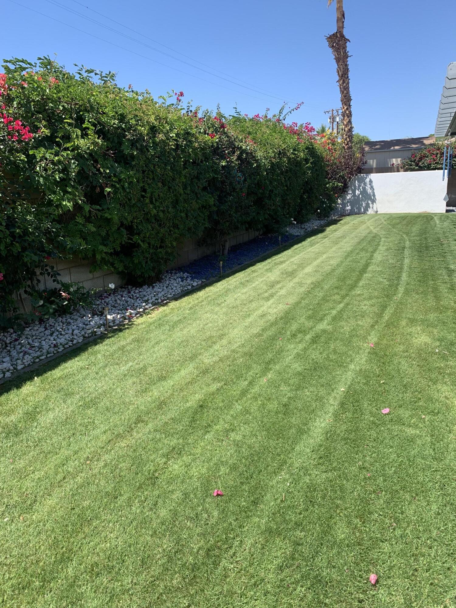 81059 Aurora Avenue Indio, CA 92201 - Photo 10 of 26 a view of a backyard of the house