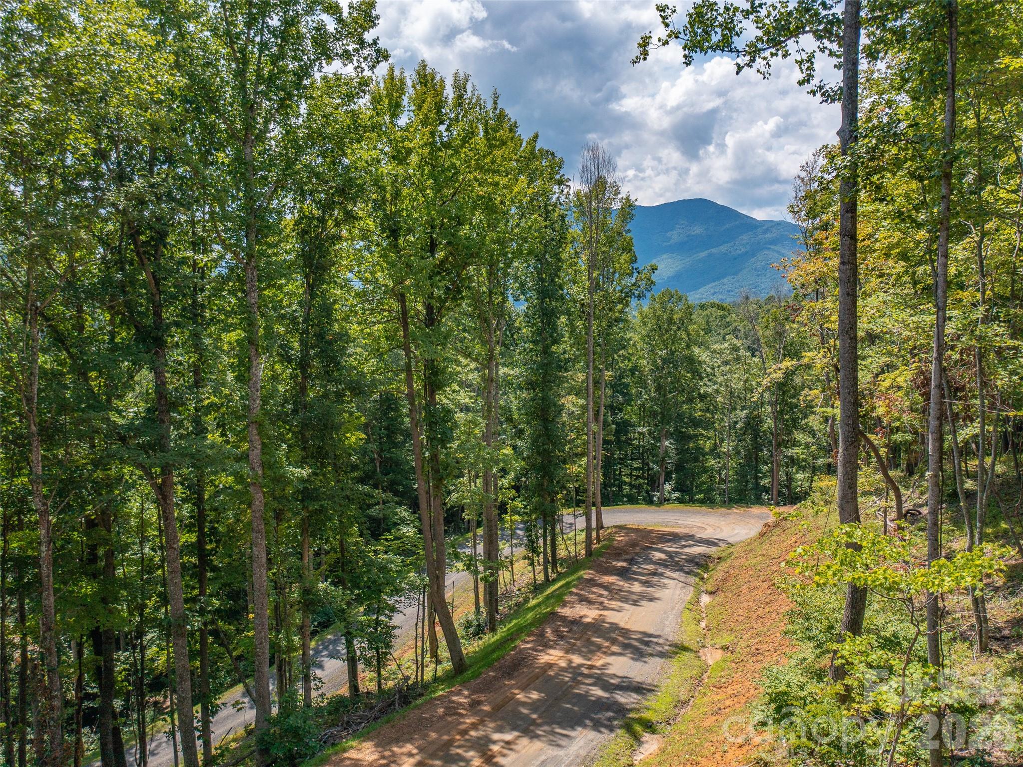 0 Locust Rough Mountain Road, Unit LOT 6 Burnsville, NC 28714 - Photo 14 of 26
