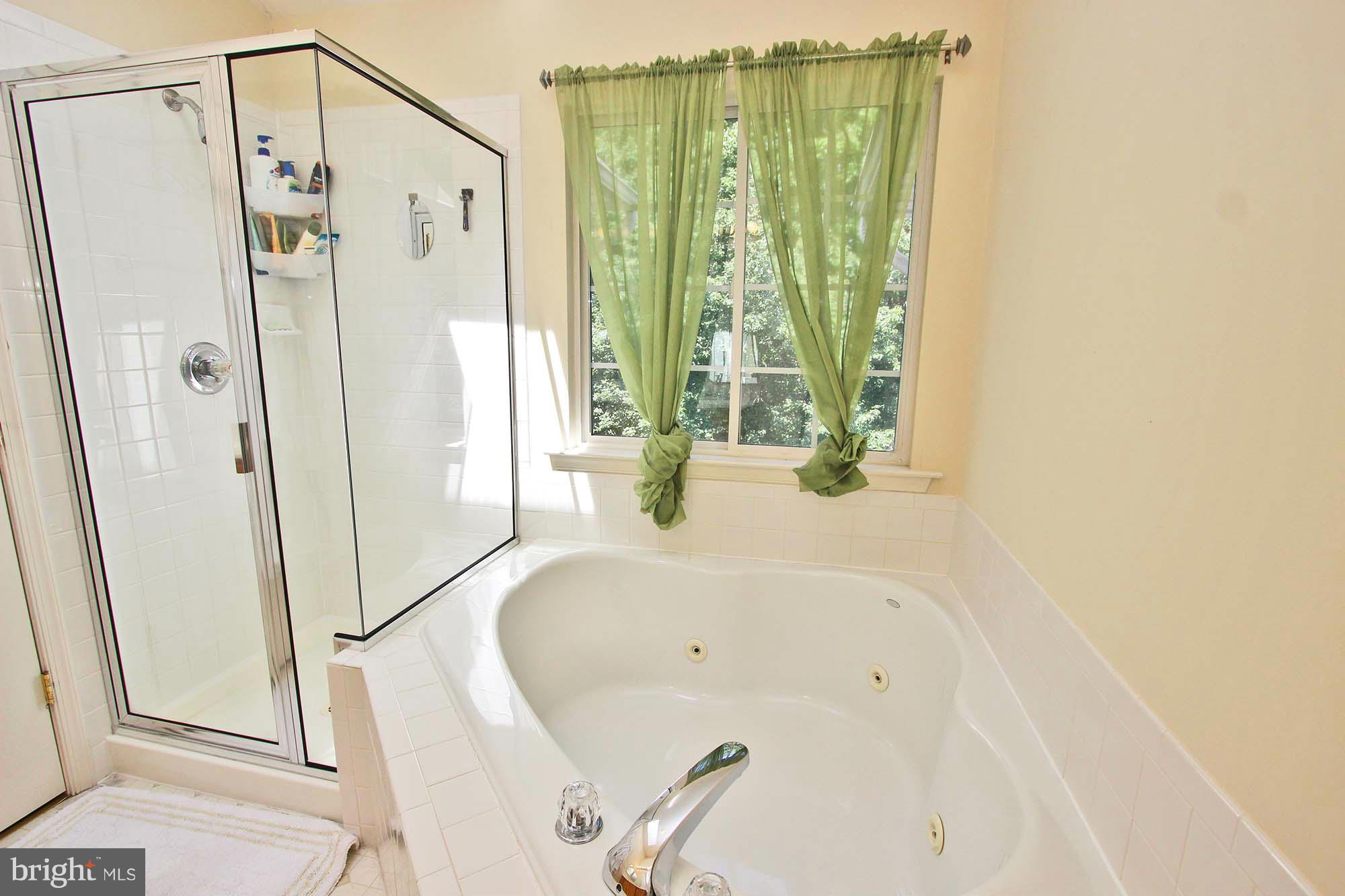 217 Carolstowne Road Reisterstown, MD 21136 - Photo 12 of 23 Jetted tub/separate shower