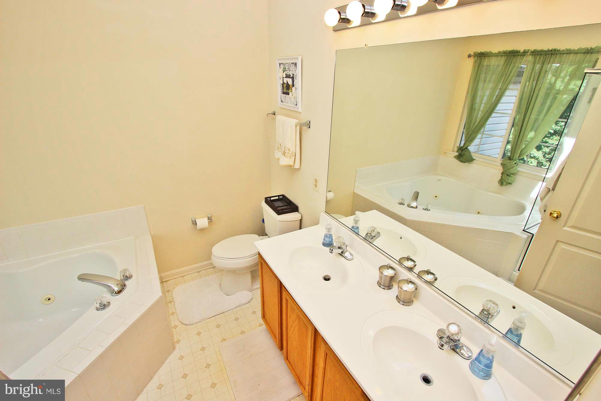 217 Carolstowne Road Reisterstown, MD 21136 - Photo 13 of 23 Double Vanity