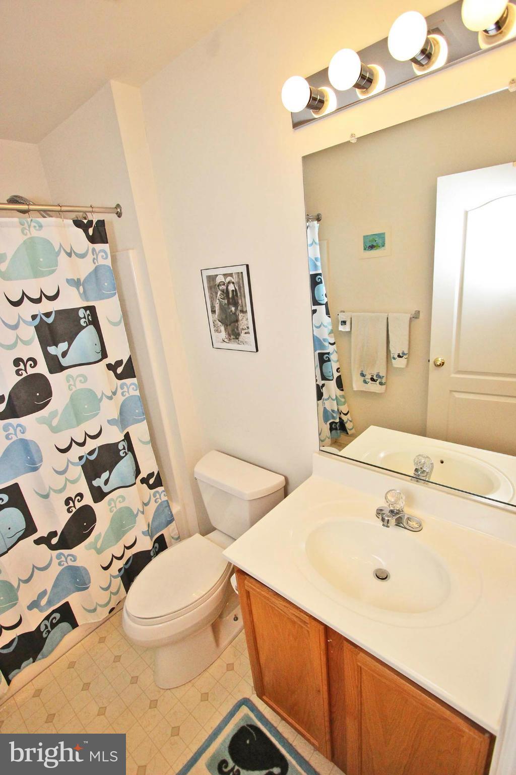 217 Carolstowne Road Reisterstown, MD 21136 - Photo 15 of 23 Bath