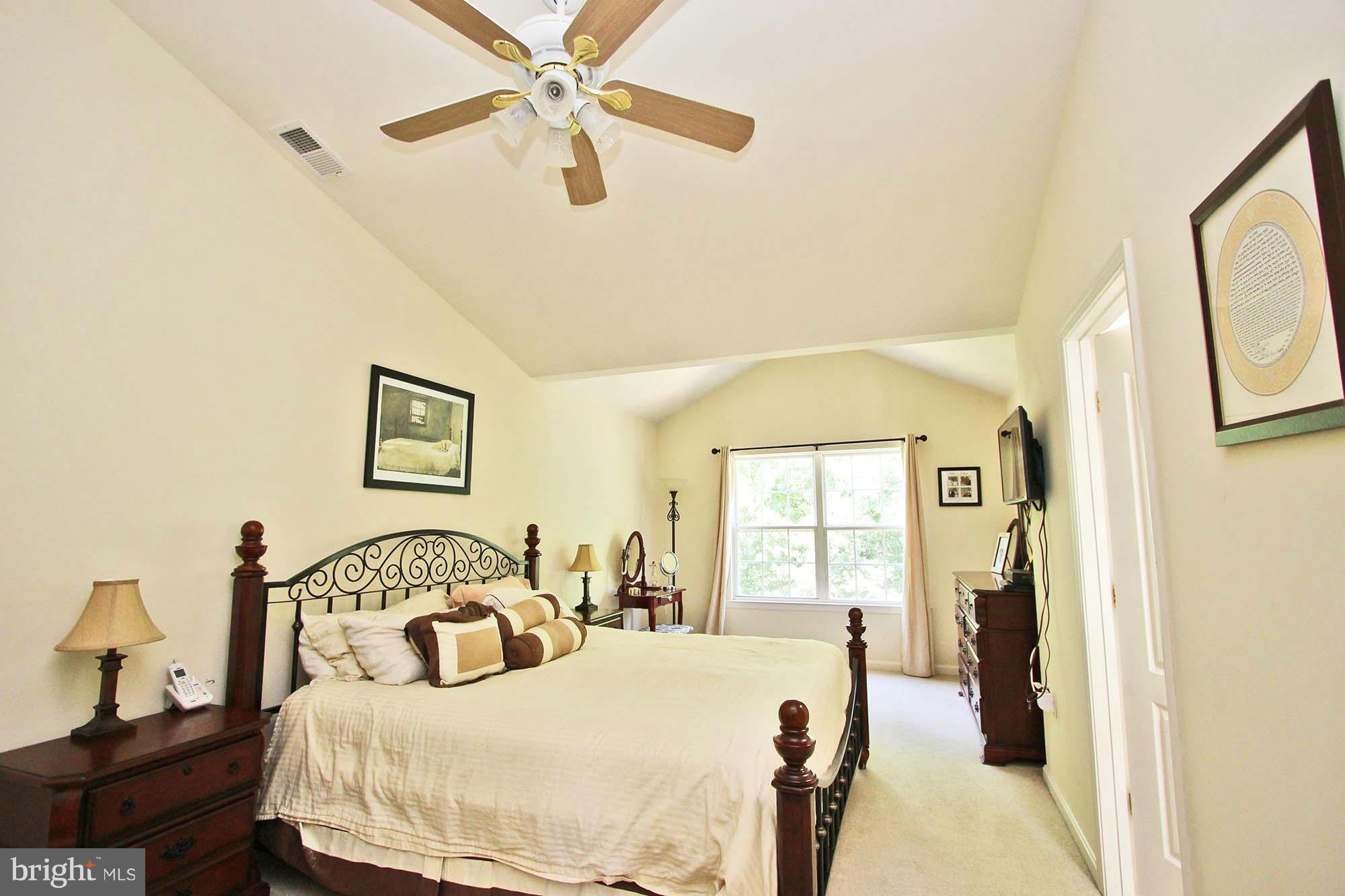 217 Carolstowne Road Reisterstown, MD 21136 - Photo 10 of 23 Vaulted Ceiling