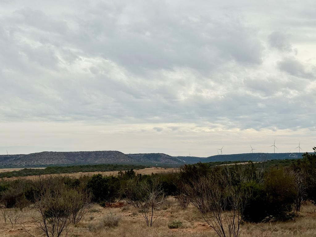 537 Lone Mills Road Robert Lee, TX 76945 - Photo 12 of 24 Photo 12