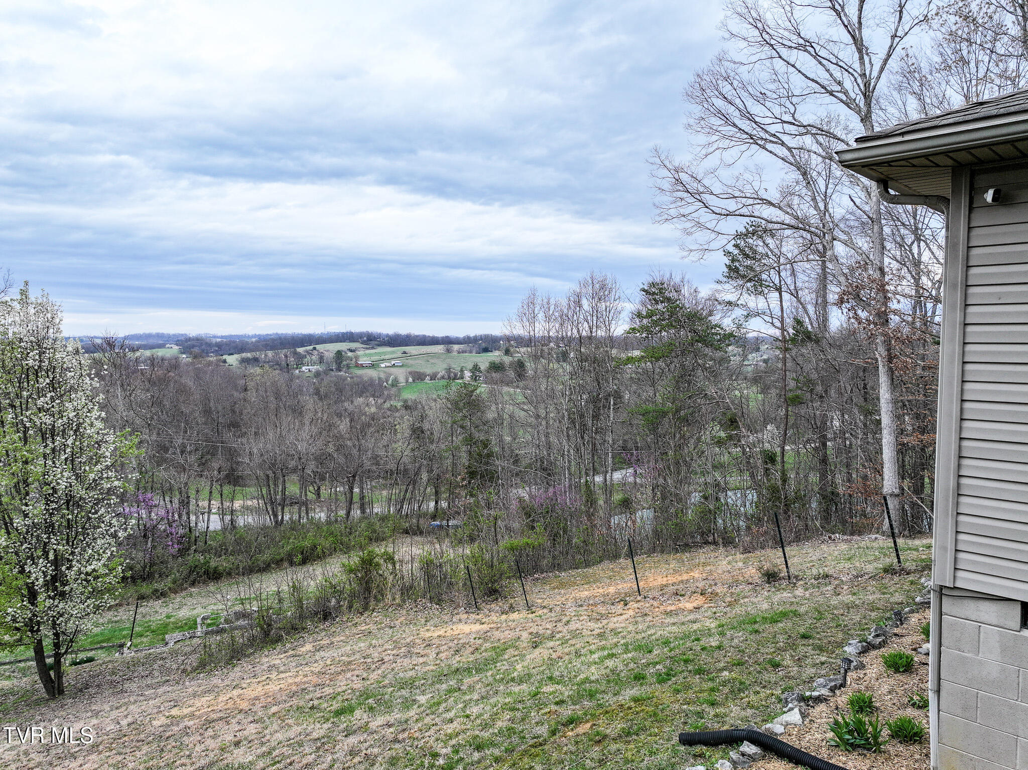 144 Kelsey Peterson Road Jonesborough, TN 37659 - Photo 14 of 41 Mountain View