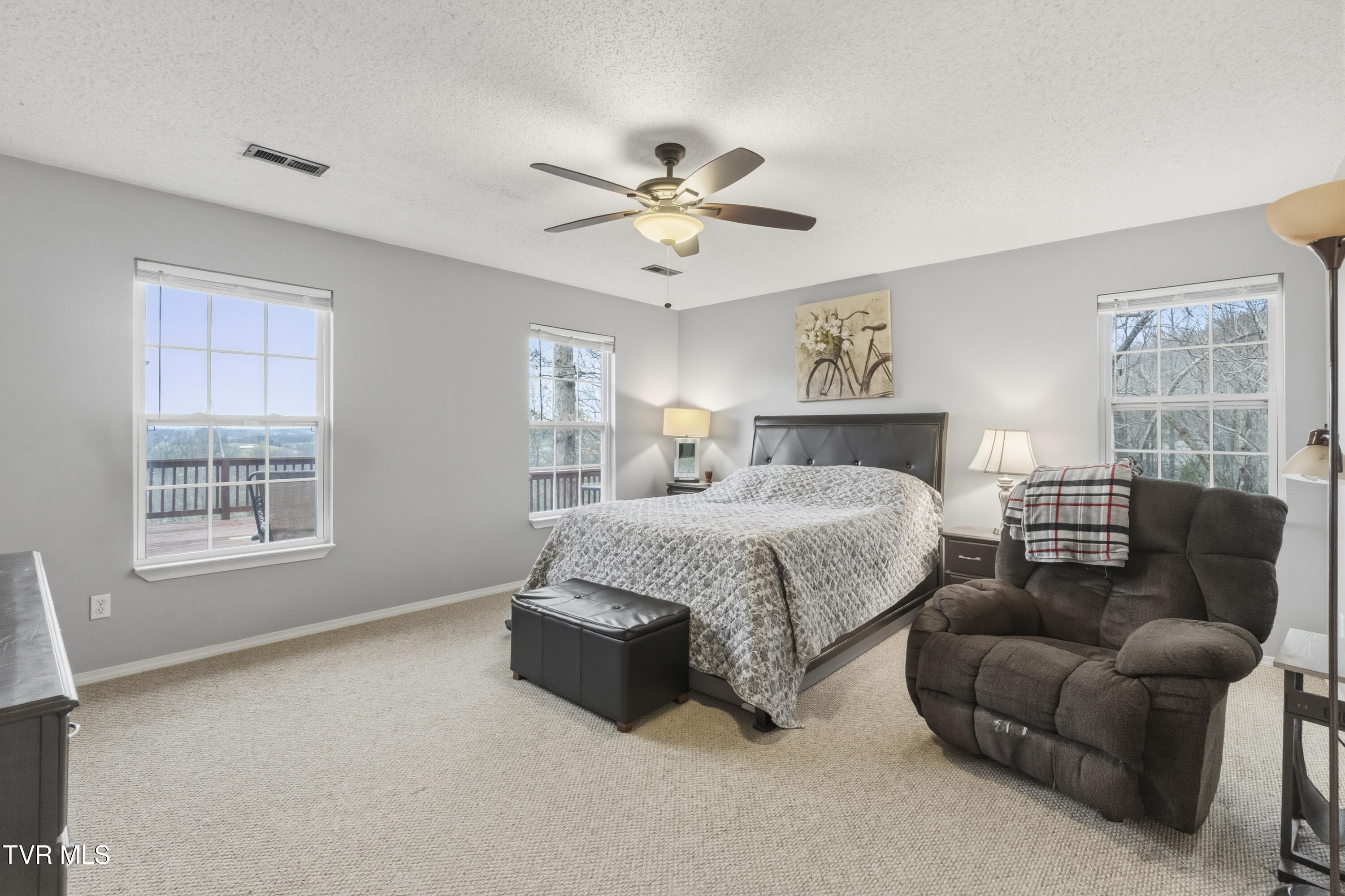 144 Kelsey Peterson Road Jonesborough, TN 37659 - Photo 31 of 41 Primary Bedroom