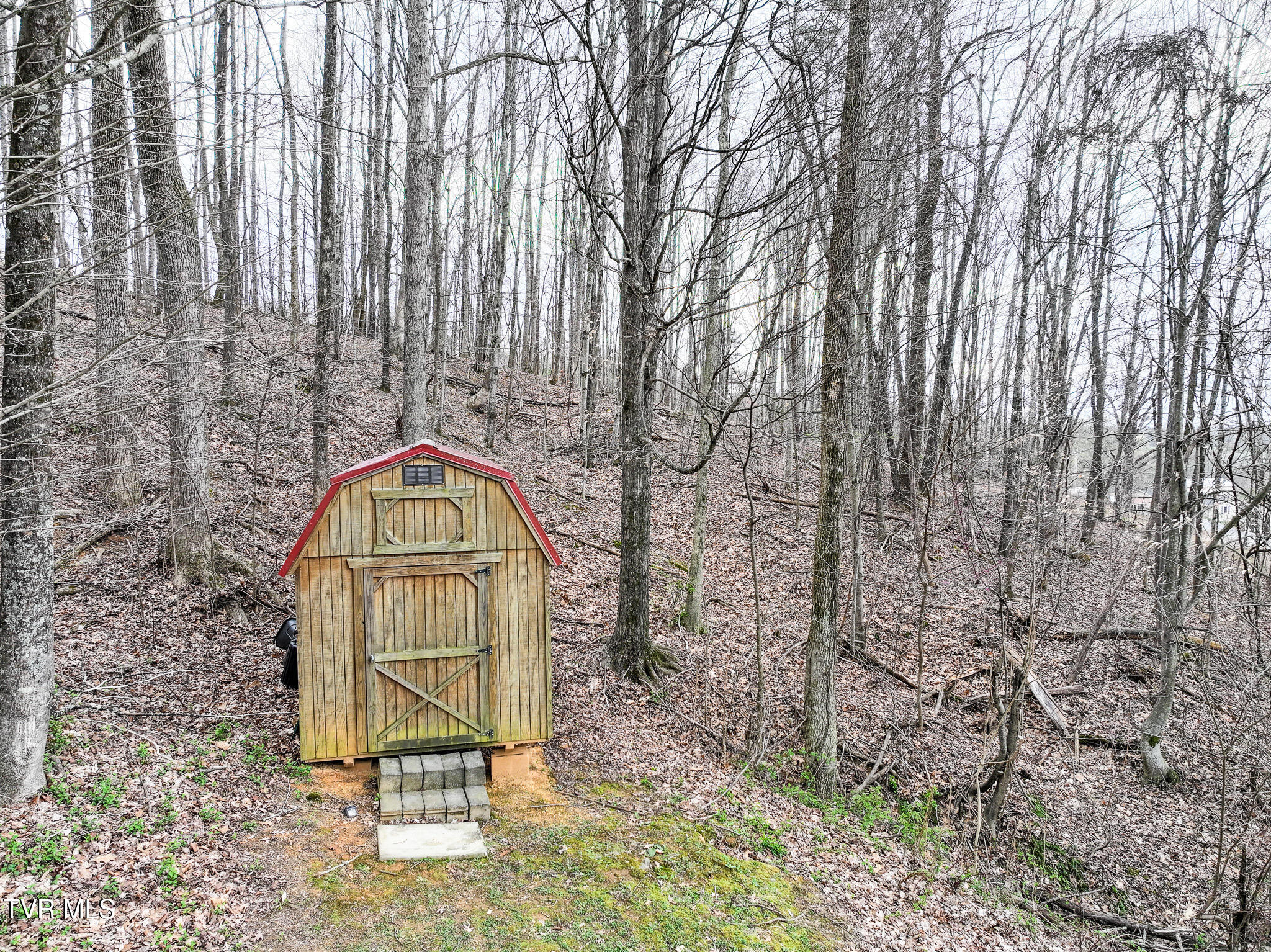 144 Kelsey Peterson Road Jonesborough, TN 37659 - Photo 38 of 41 Shed