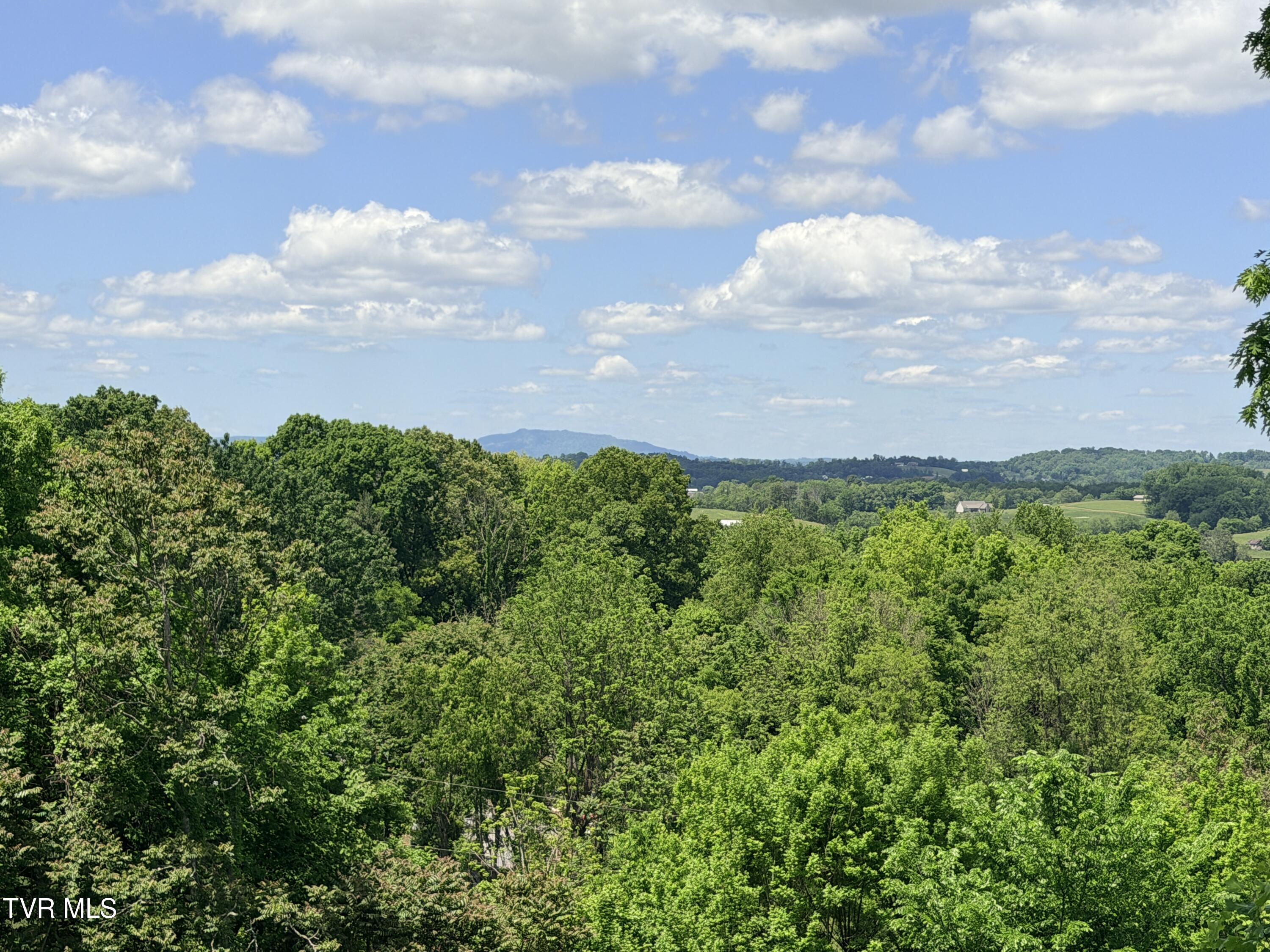 144 Kelsey Peterson Road Jonesborough, TN 37659 - Photo 4 of 41 IMG_0067