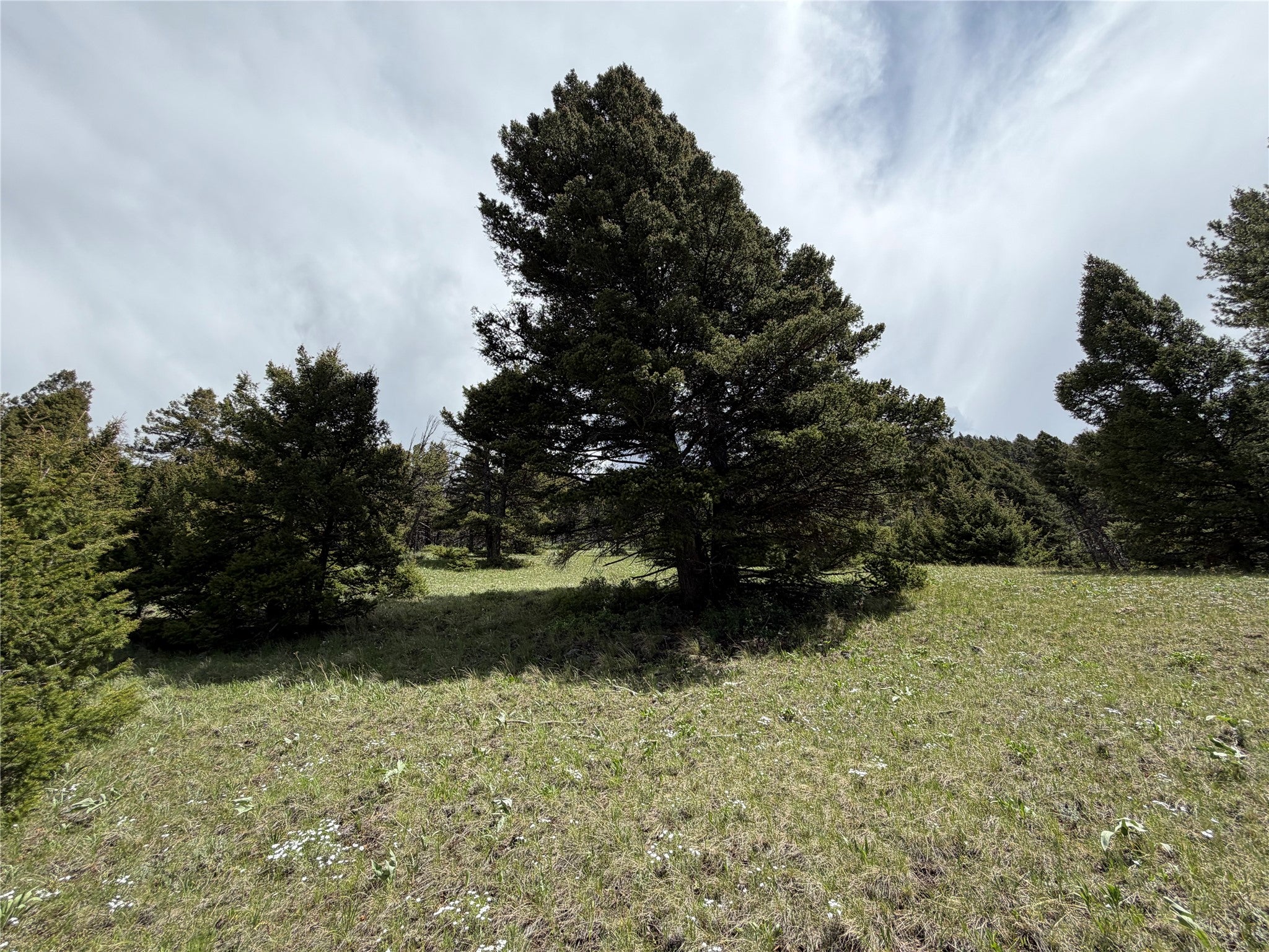 Lot 2-4a Continental Divide Road Cameron, MT 59720 - Photo 19 of 31 Gallery Image 19
