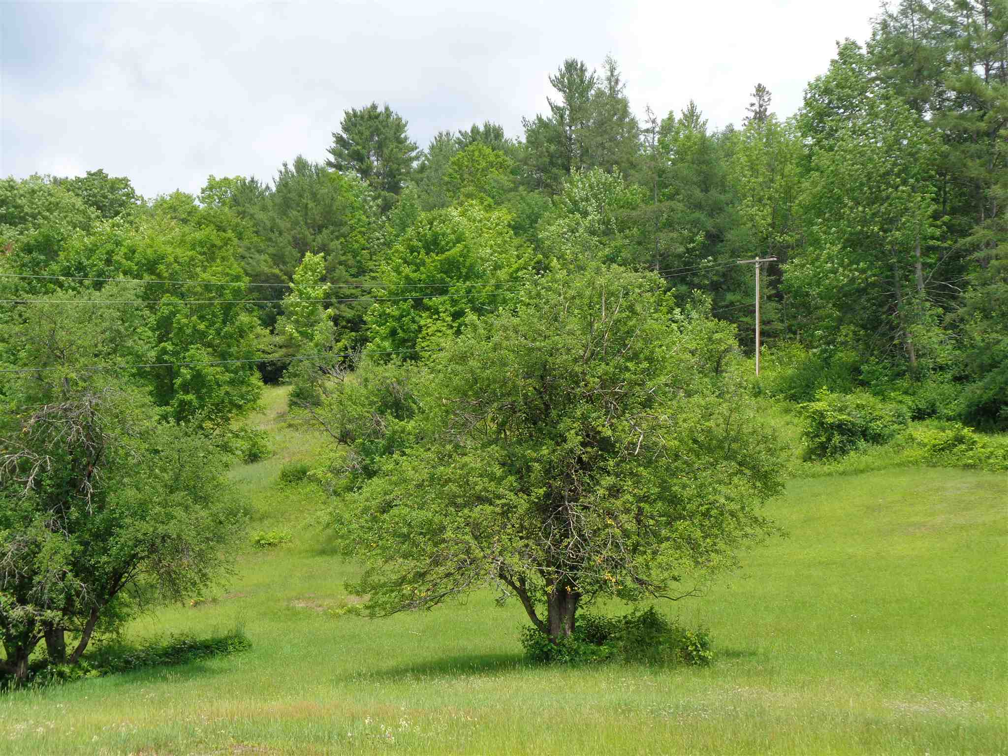 258 Copper Mine Road Corinth, VT 05039 - Photo 4 of 5