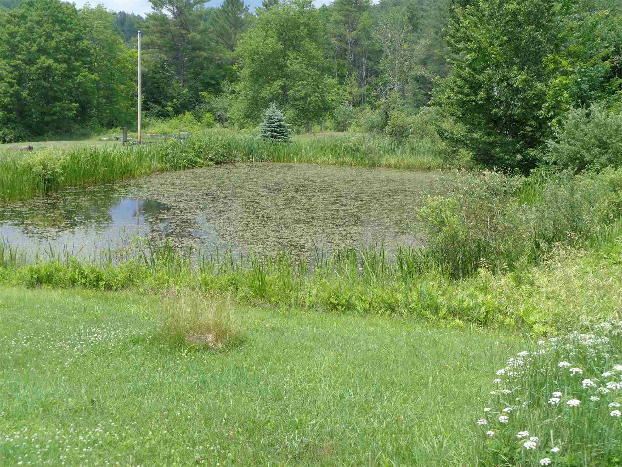258 Copper Mine Road Corinth, VT 05039 - Photo 5 of 5