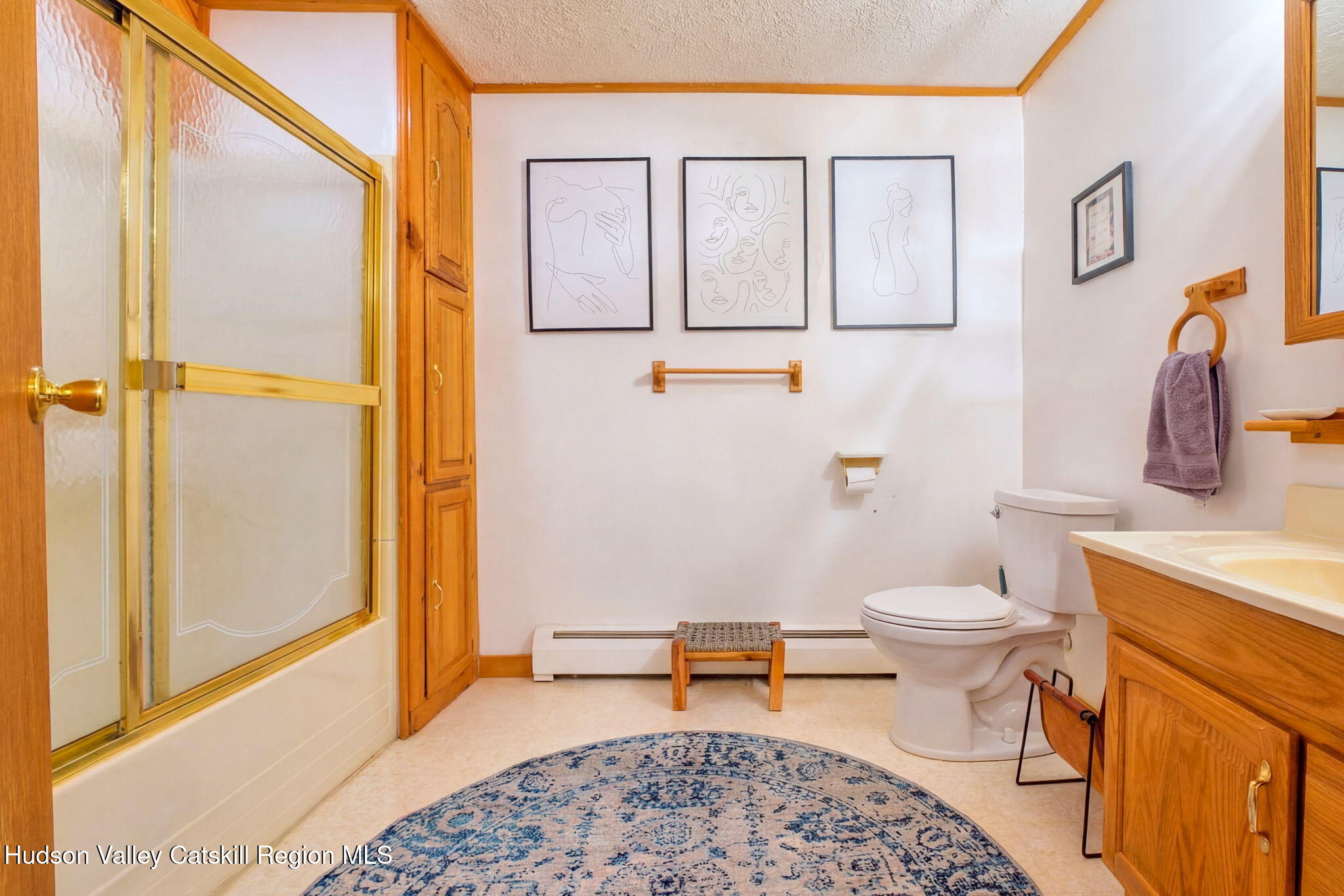 251 Sleepy Hollow Road Athens, NY 12015 - Photo 41 of 60 a bathroom with a toilet a sink and a shower