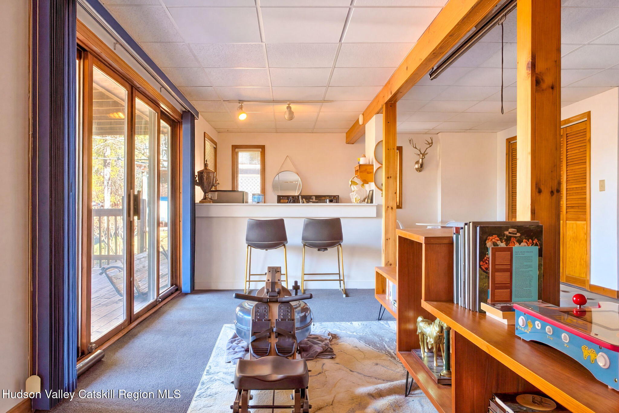 251 Sleepy Hollow Road Athens, NY 12015 - Photo 47 of 60 53_lower_level_living_4