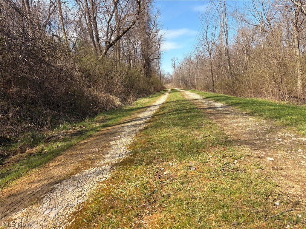 64446 Erie Road Salesville, OH 43778 - Photo 25 of 32 View of street