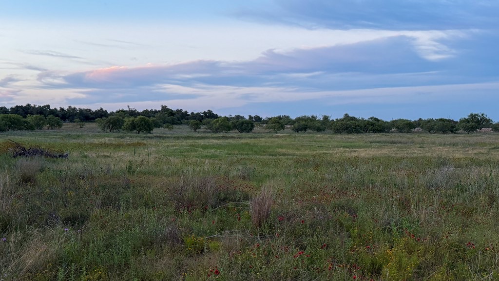 Lot #9 Slate Rock Road, Unit 9 Fredericksburg, TX 78624 - Photo 14 of 16