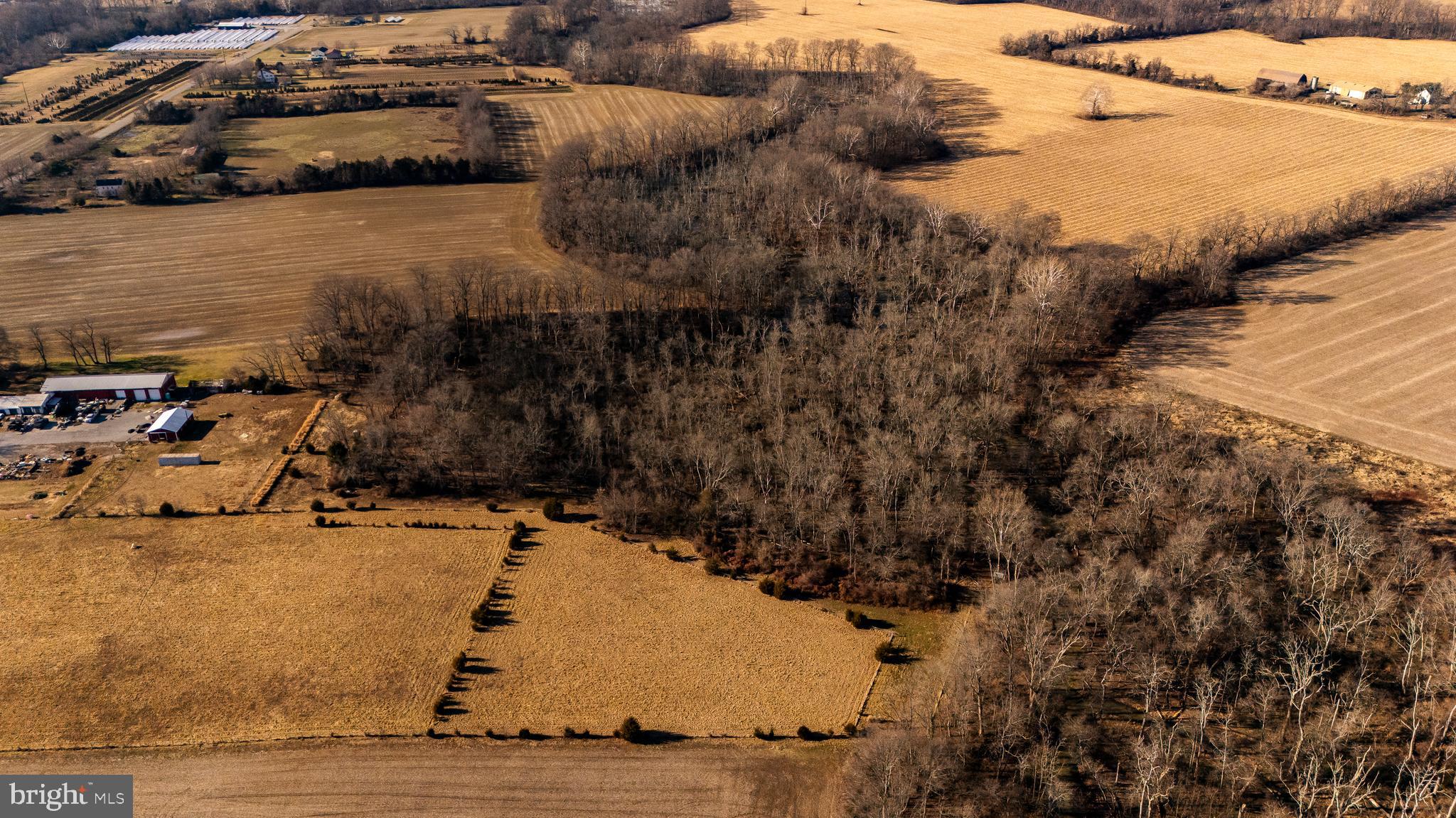 324 Welchville Road Mannington, NJ 08079 - Photo 45 of 50