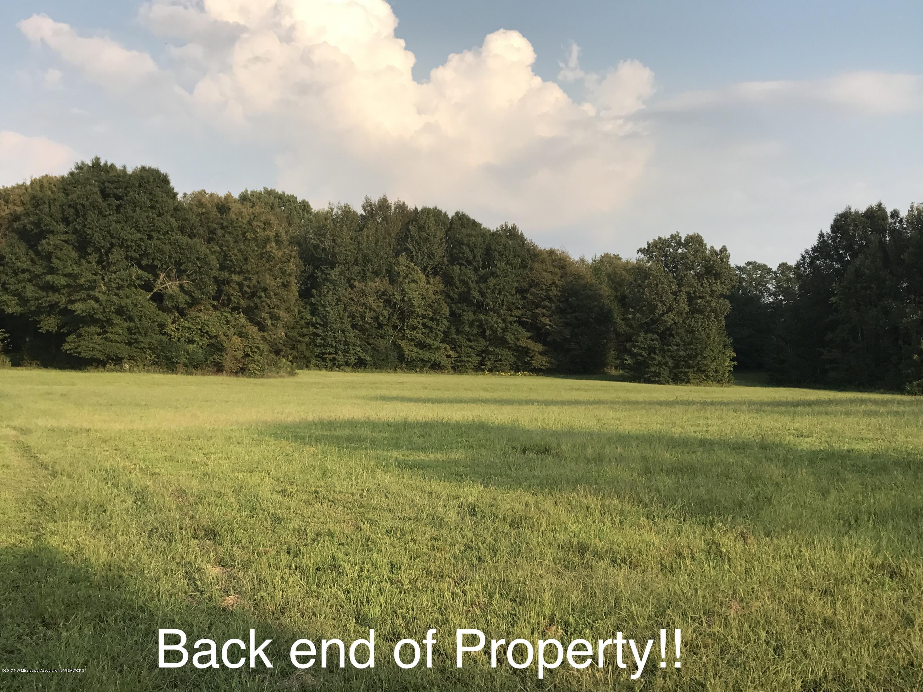 2720 Johnston Road Hernando, MS 38632 - Photo 1 of 6 FullSizeRender