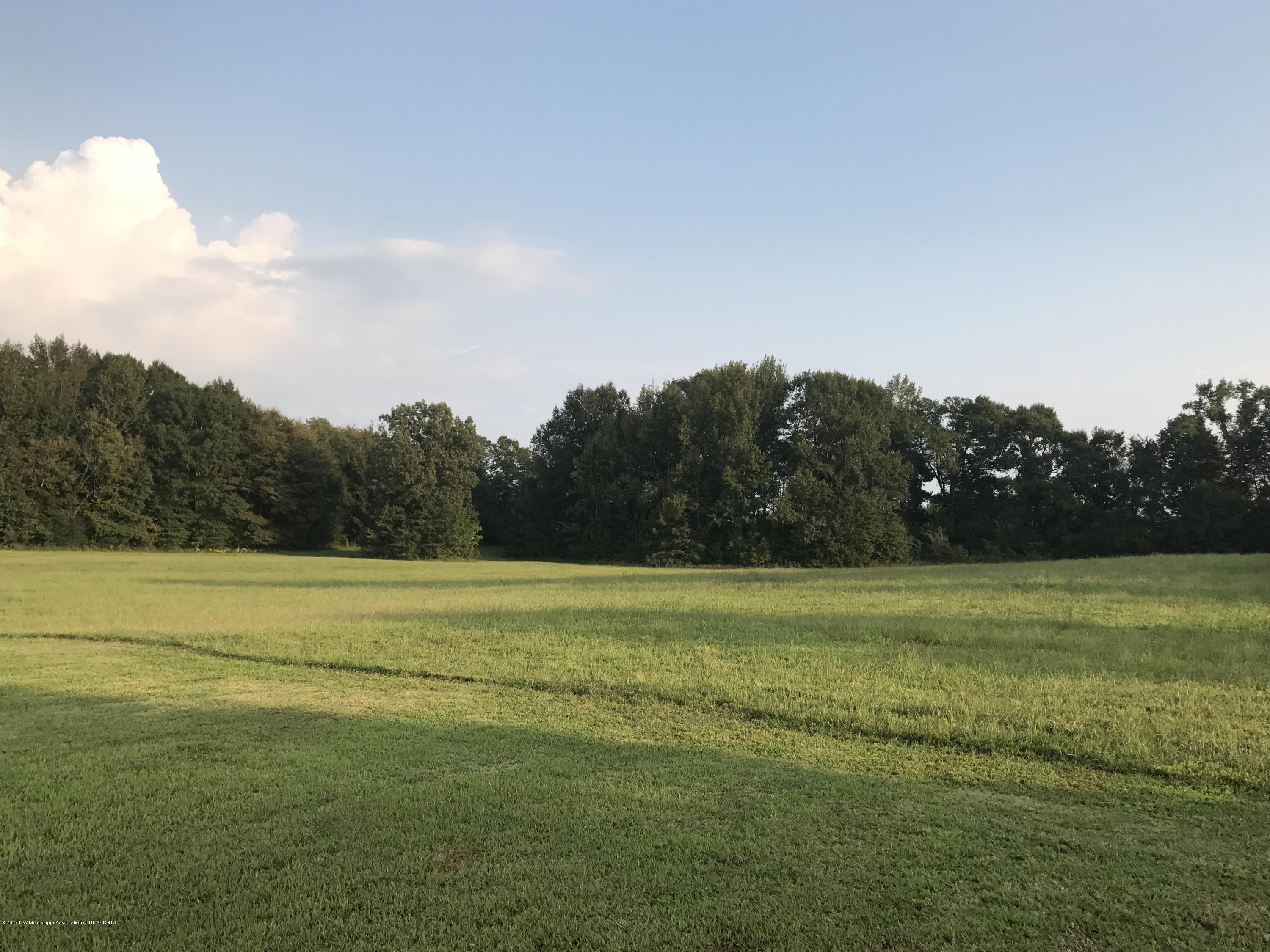 2720 Johnston Road Hernando, MS 38632 - Photo 6 of 6 IMG_0564