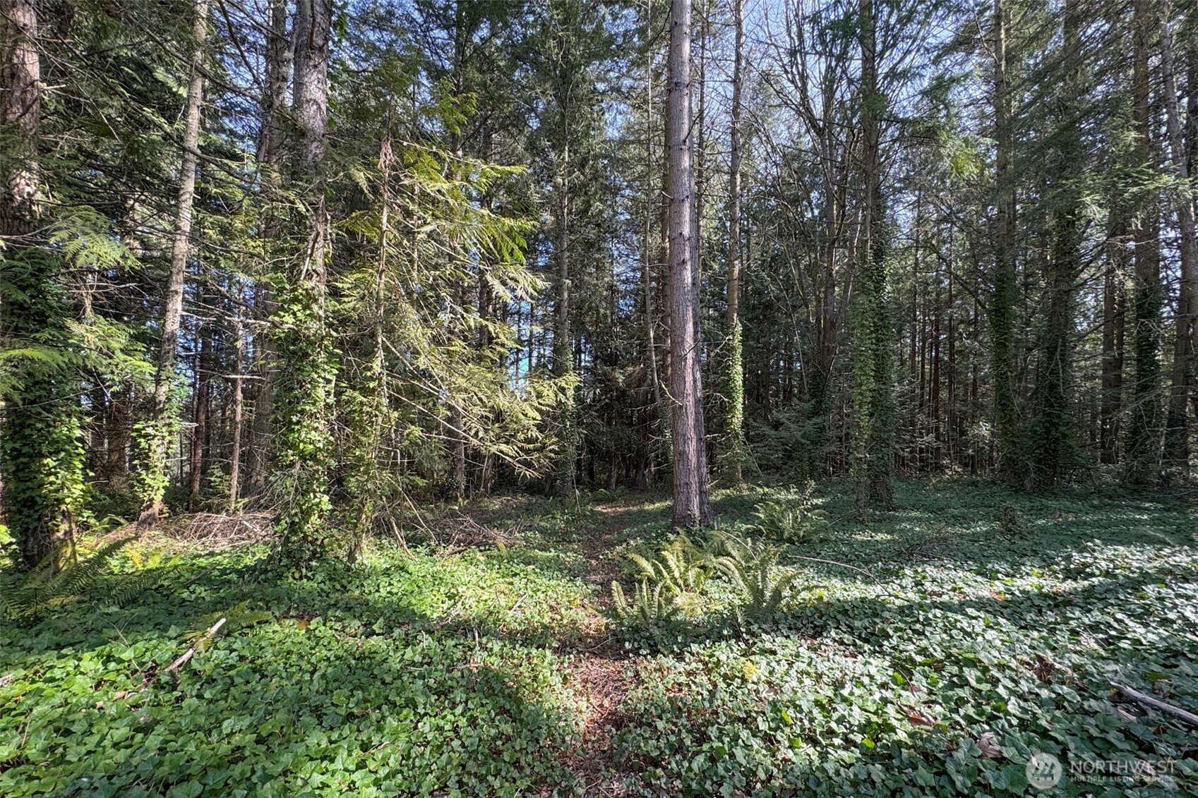 576 Blyn Springs Road Sequim, WA 98382 - Photo 34 of 39