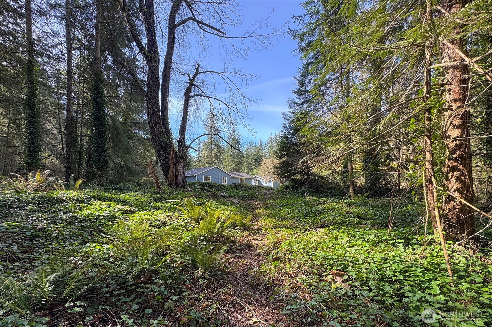 576 Blyn Springs Road Sequim, WA 98382 - Photo 35 of 39