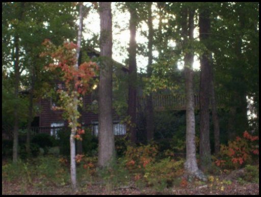 1047 Cove Pointe Road La Follette, TN 37766 - Photo 1 of 1 Primary Photo