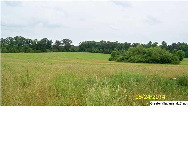 18 County Road, Unit 33 Bremen, AL 35033 - Photo 8 of 9