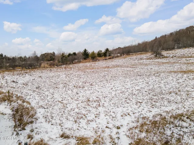 $1,200,000 | 191 Merchant Road, Jefferson, NY 12093