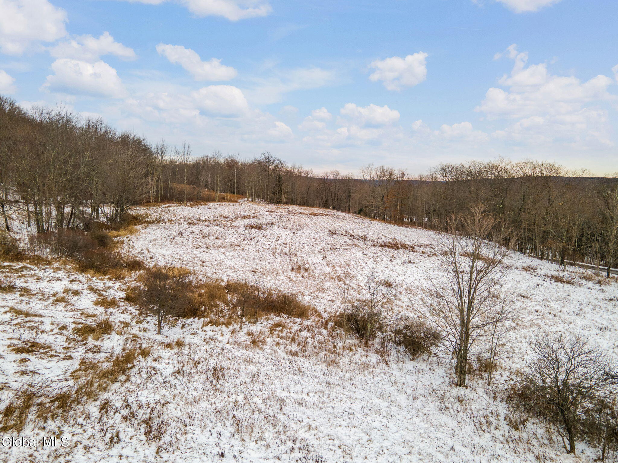 191 Merchant Road Jefferson, NY 12093 - Photo 46 of 51 58-191MerchantRd_58