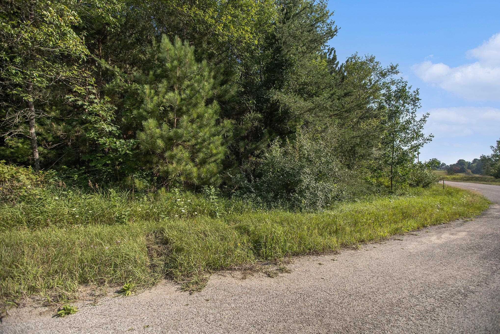 0 Baver Road Frankfort, MI 49635 - Photo 6 of 18