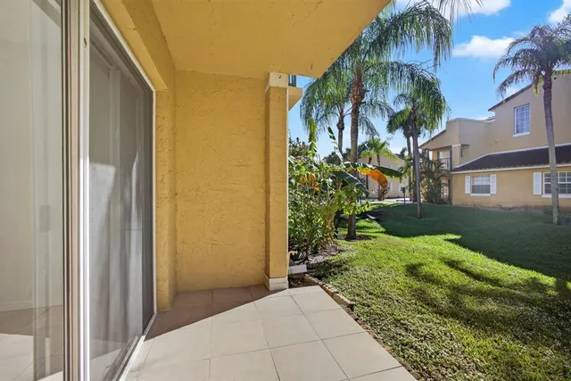 a view of backyard with potted plants