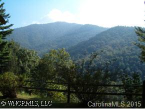 190 Rattlesnake Branch Road Canton, NC 28716 - Photo 3 of 9 a view of a field
