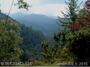 190 Rattlesnake Branch Road Canton, NC 28716 - Photo 8 of 9 a view of a field