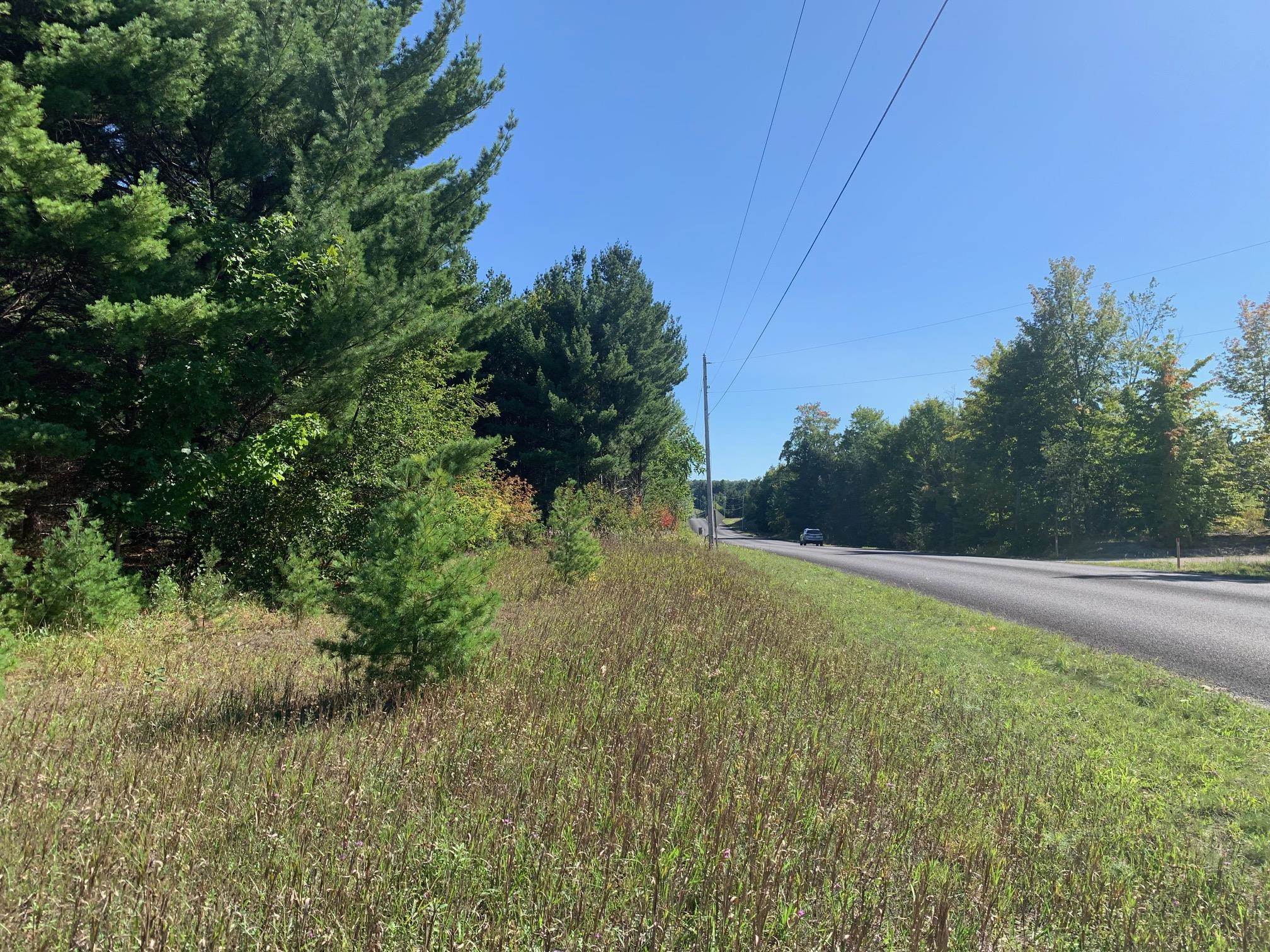 0 South Maple City Road Traverse City, MI 49684 - Photo 17 of 22