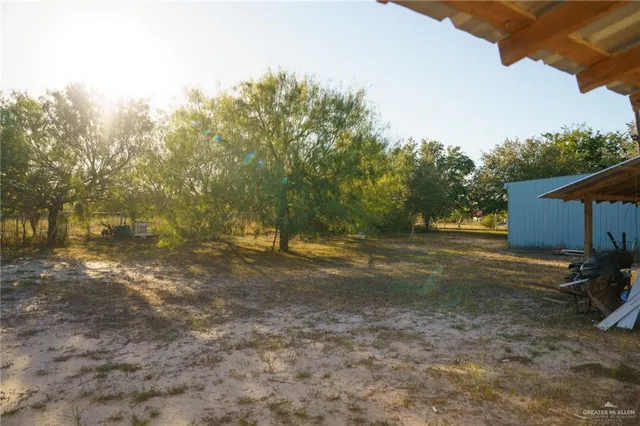 a view of a yard with a tree