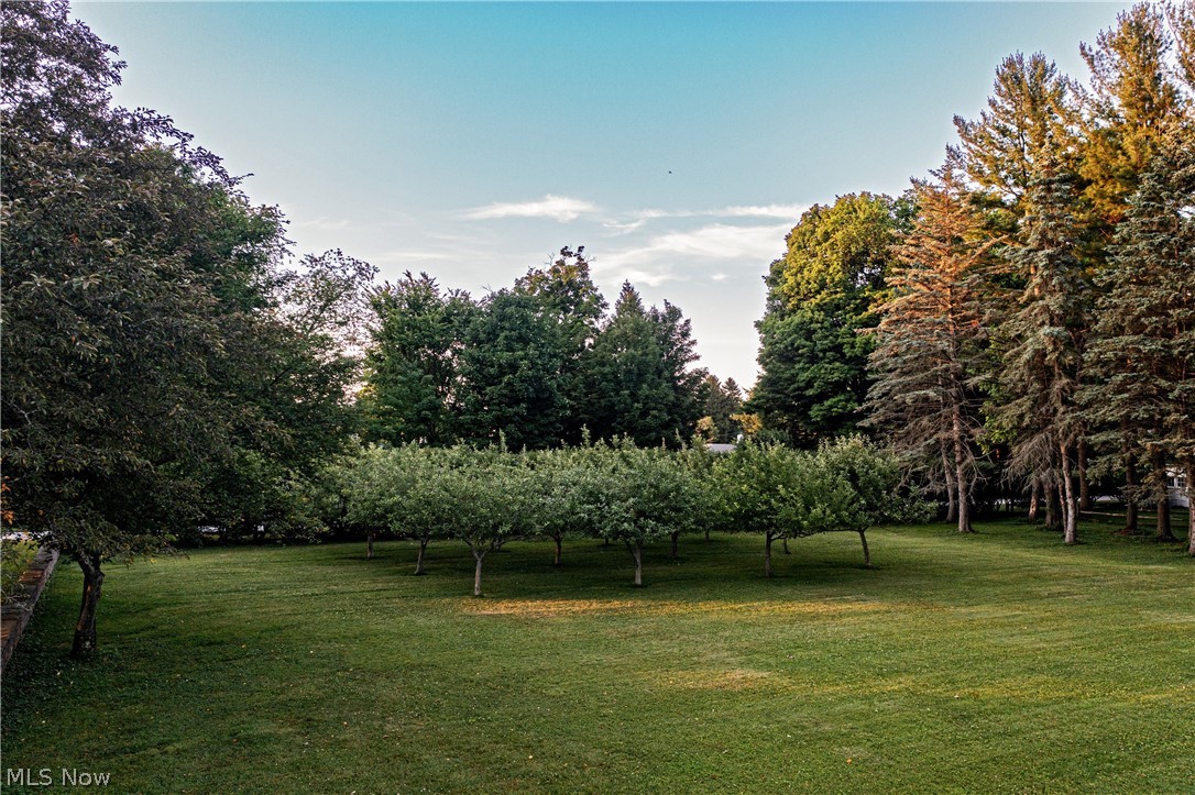 9498 Smith Road Waite Hill, OH 44094 - Photo 43 of 48