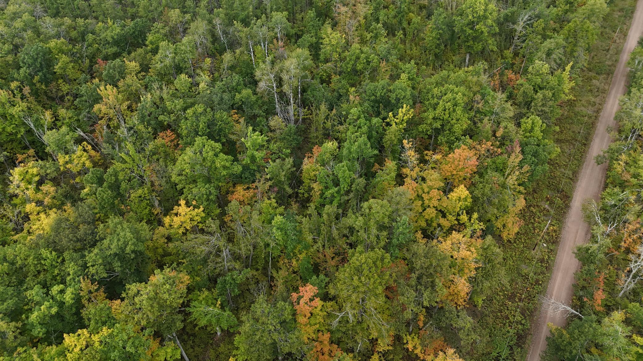 57919 Hay Creek Road Sandstone, MN 55072 - Photo 34 of 39