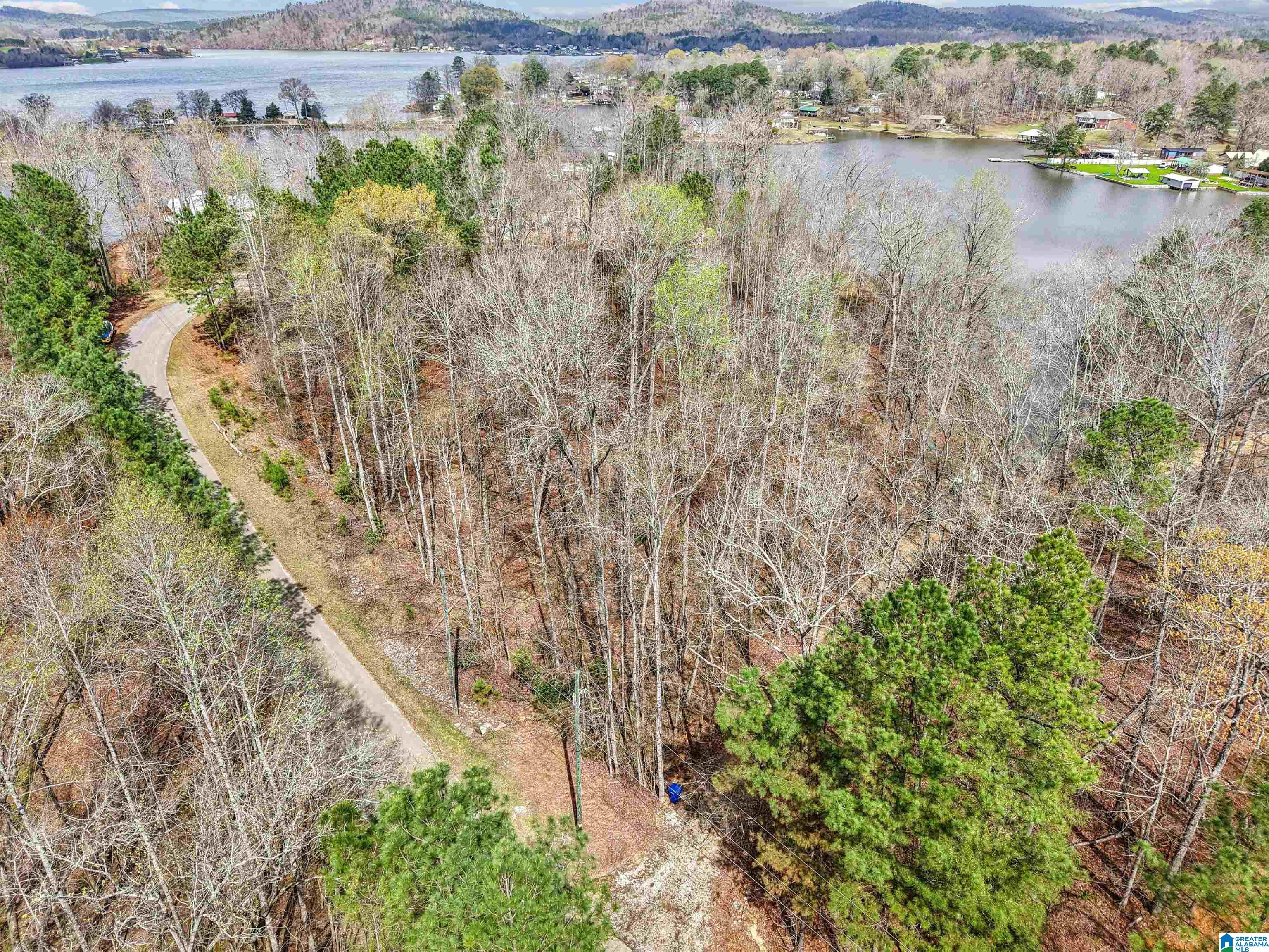 130 Mohawk Court, Unit LOT 1 Ohatchee, AL 36271 - Photo 9 of 17