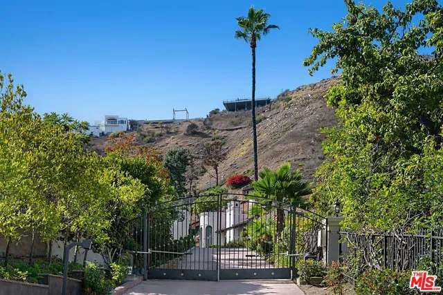 a view of a street with a tree