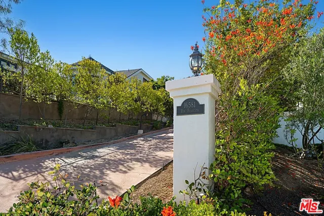 a view of a yard with plants and a large tree