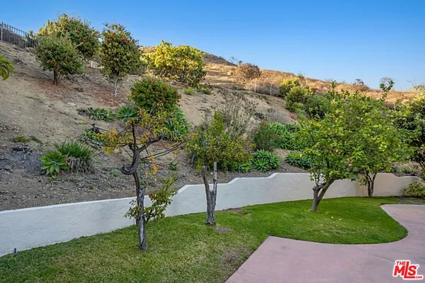 a view of a garden with a tree in the background