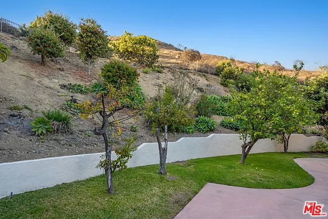 a view of a garden with a tree in the background