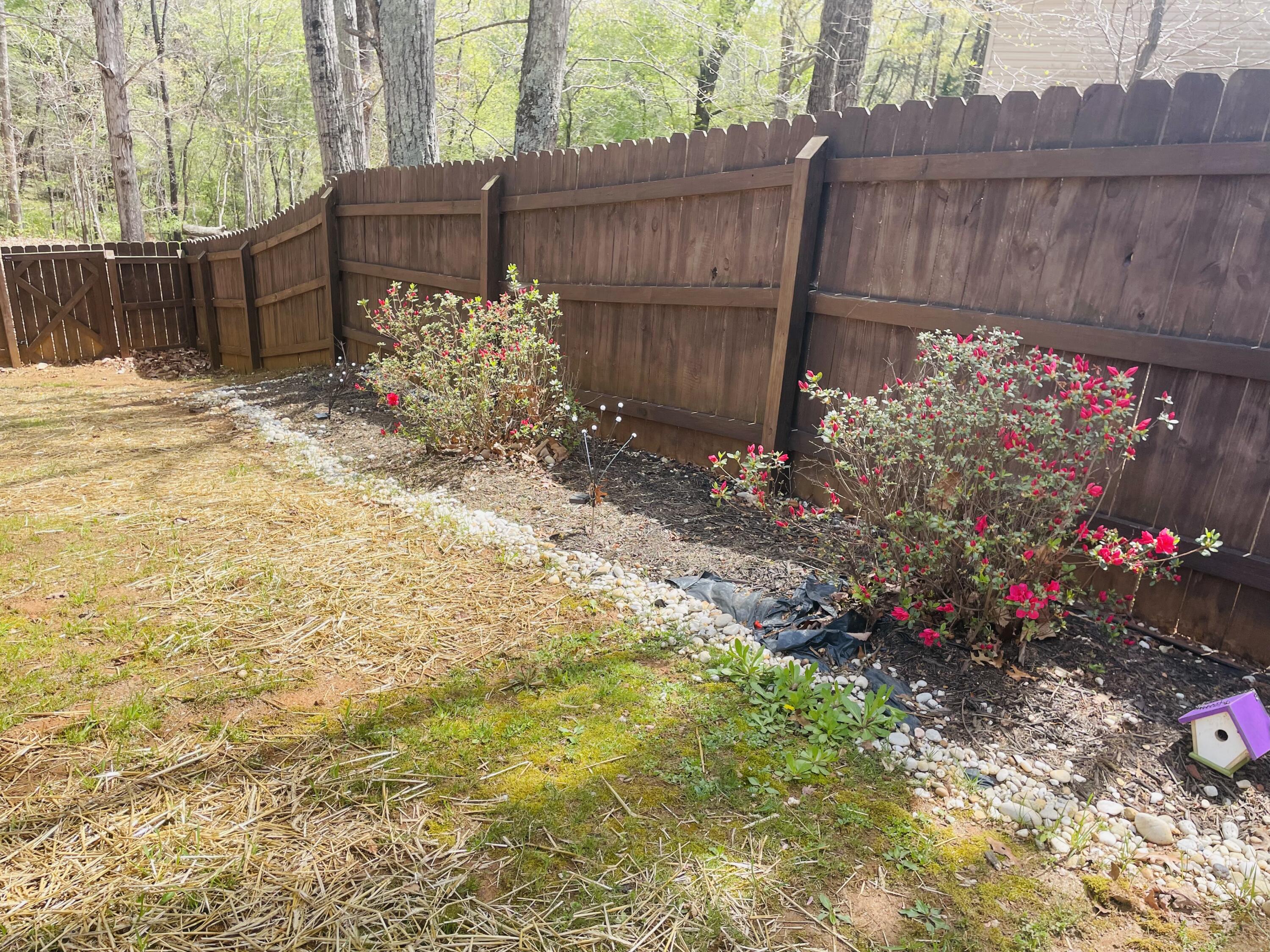 2768 Sandy Level Road Goodview, VA 24095 - Photo 31 of 56 wooden privacy fence:azaleas
